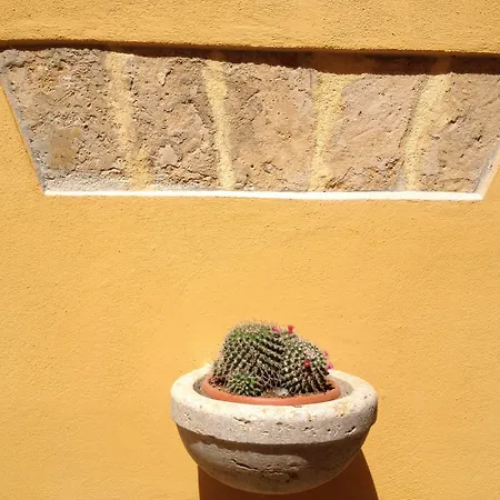 Bed & Breakfast Sant'agostino &