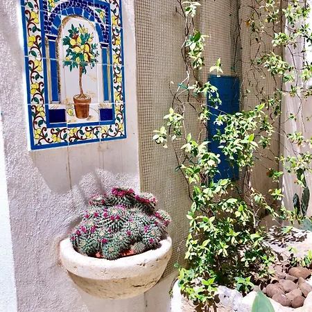 Sant'agostino & Bed & Breakfast